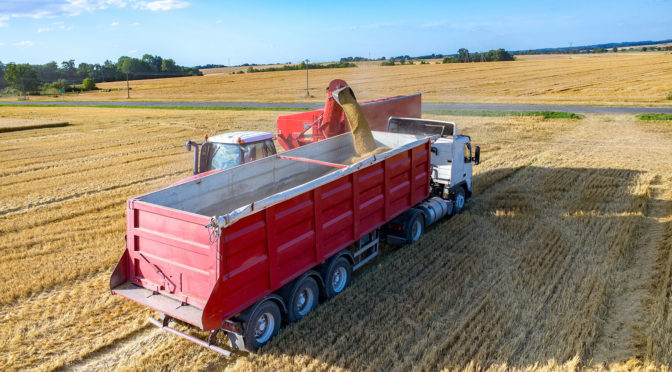 Safra recorde e retomada industrial devem estimular transporte de cargas