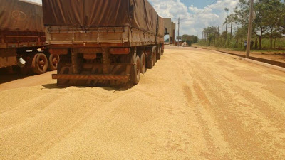 Caminhoneiro descarrega carga de soja no pátio de empresa