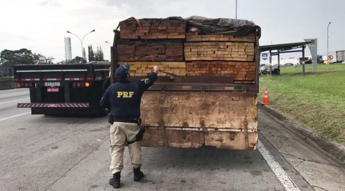 Carga de madeira transportada ilegalmente é apreendida na Dutra