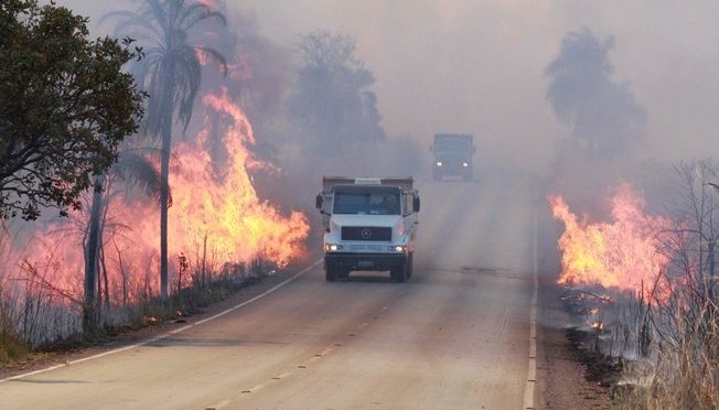 6 precauções para prevenir acidentes em queimadas