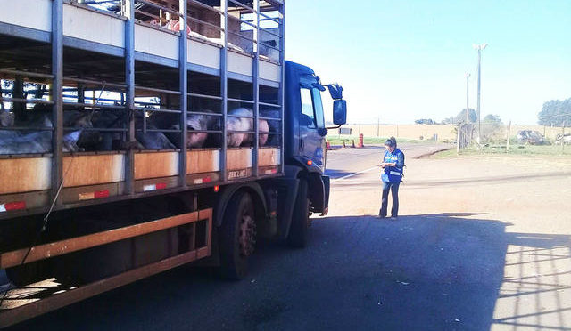 ANTT e caminhoneiros discutem tabela do frete para carga viva