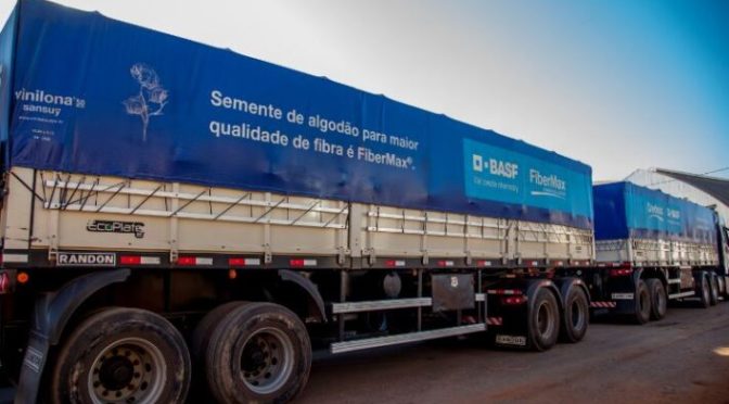 Case de sucesso: tudo sobre a parceria entre BASF e Sansuy